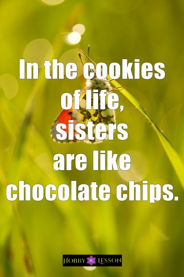 Cute Brother and Sister Quotes and Sayings