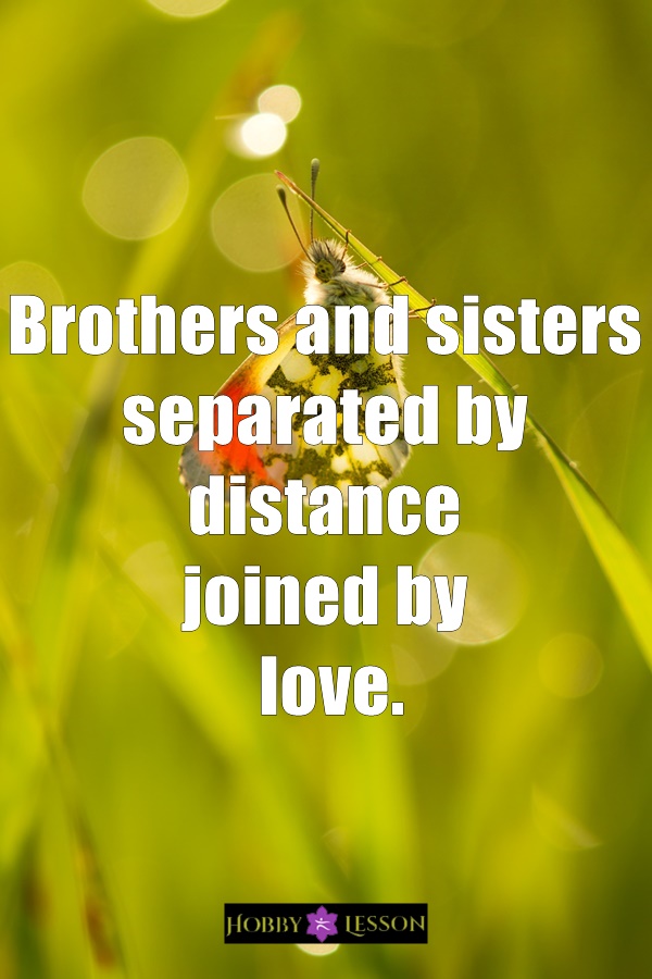 Cute Brother and Sister Quotes and Sayings