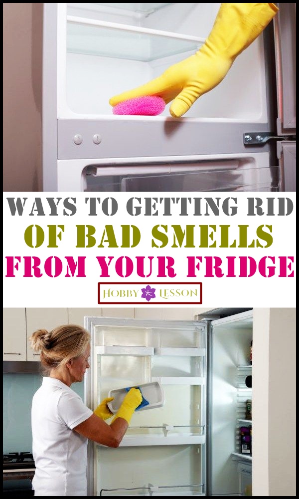 Get Rid Of Bad Smell From Fridge at Maureen Morones Blog