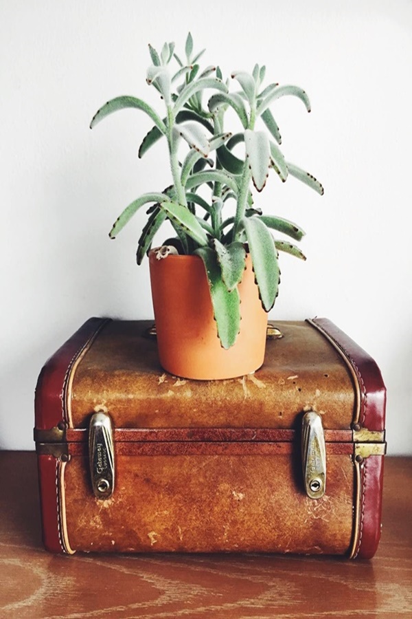 Most Intelligent Ways to Reuse old Vintage Suitcases