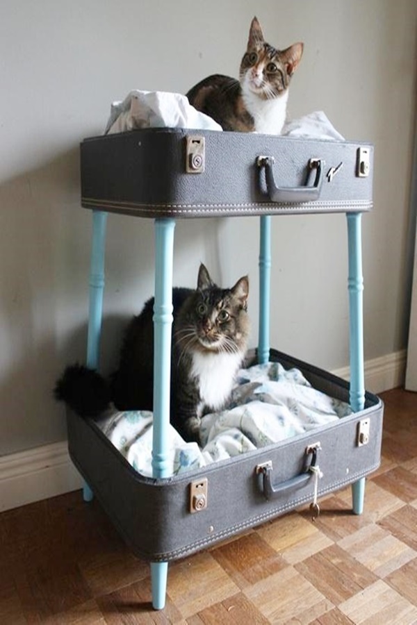 Most Intelligent Ways to Reuse old Vintage Suitcases