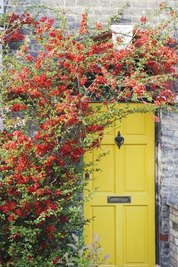 Popular Front Door Paint Colors