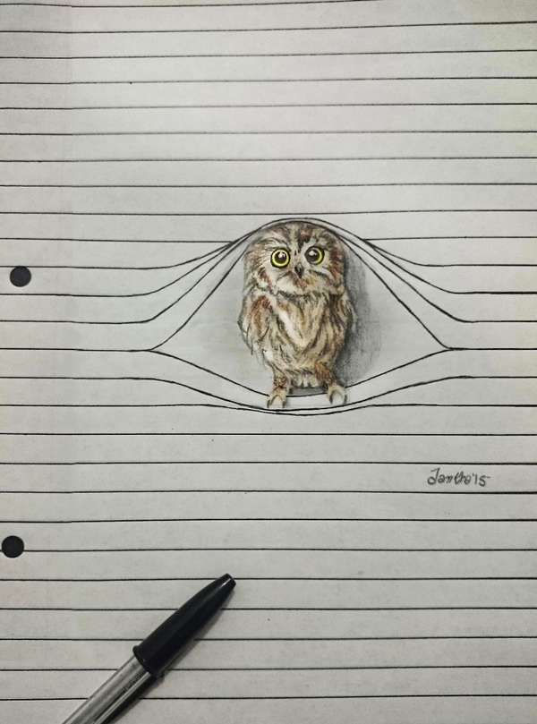 Illusionistic Between the lines Pencil Drawings of Animals
