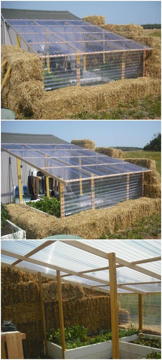 Best DIY Greenhouse Ideas for Backyard