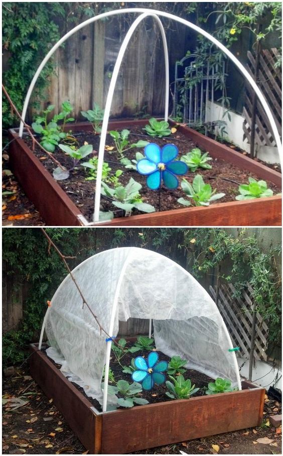 Best DIY Greenhouse Ideas for Backyard