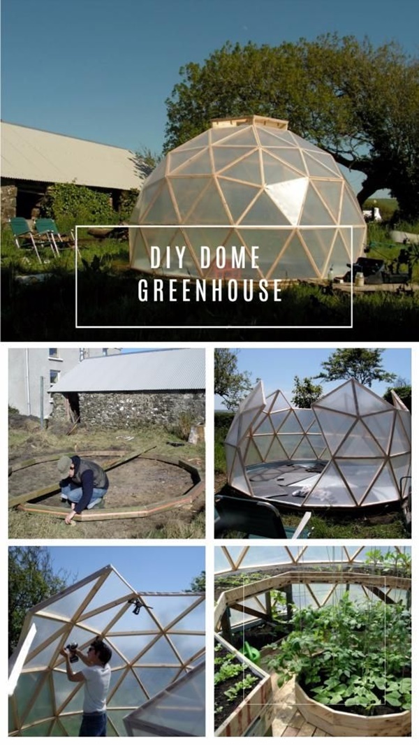 Best DIY Greenhouse Ideas for Backyard