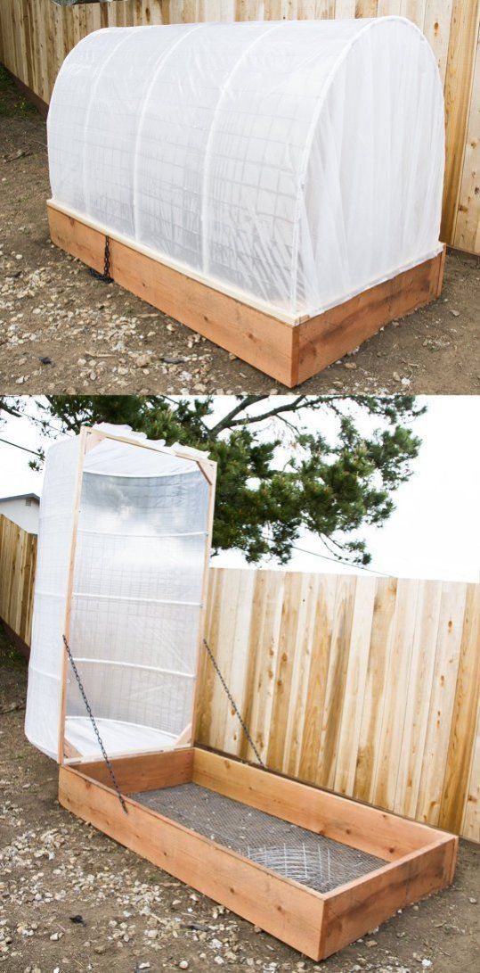 Best DIY Greenhouse Ideas for Backyard