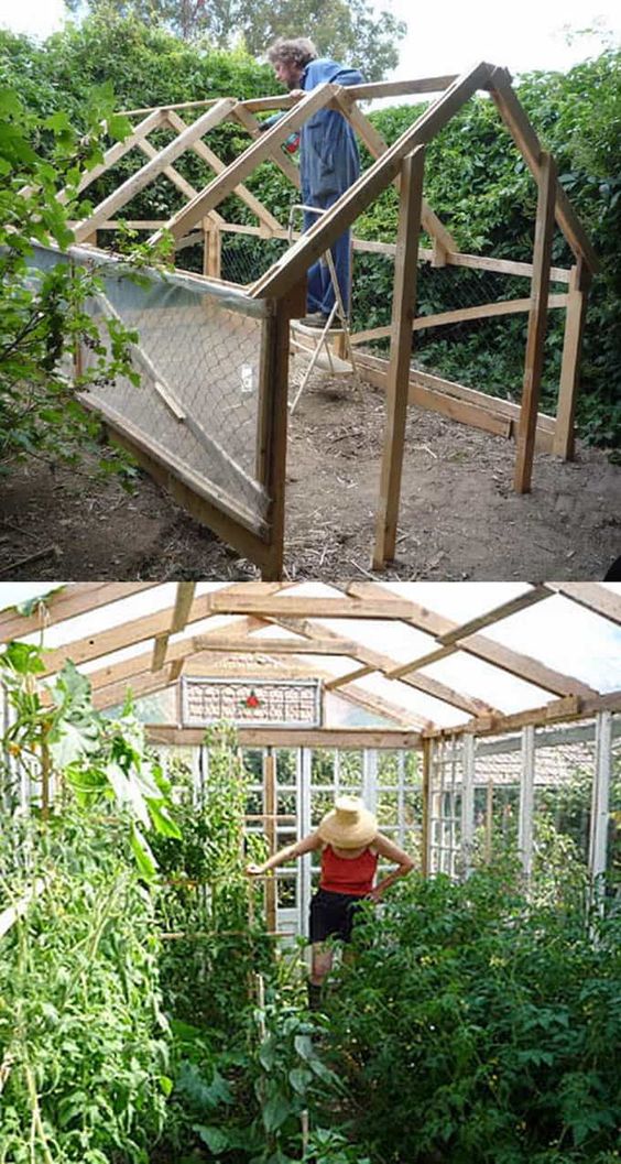 Best DIY Greenhouse Ideas for Backyard