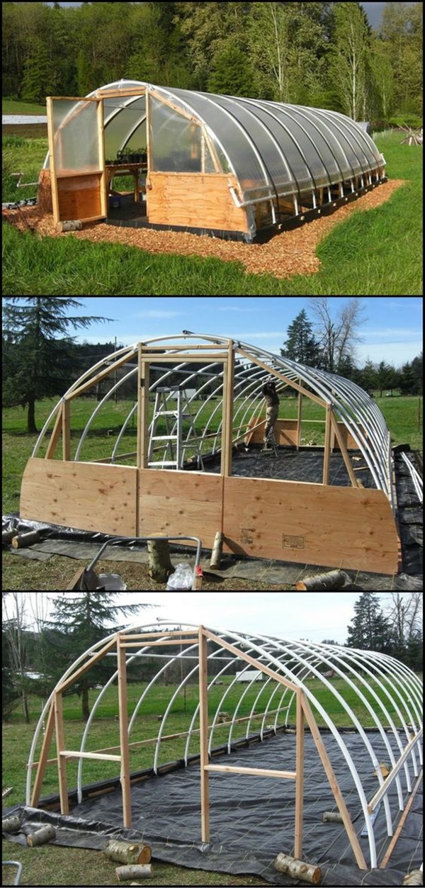 Best DIY Greenhouse Ideas for Backyard