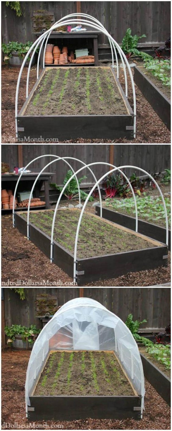 Best DIY Greenhouse Ideas for Backyard