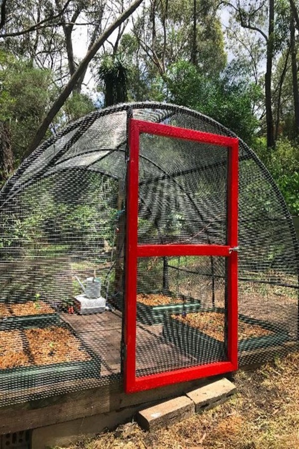 Best DIY Greenhouse Ideas for Backyard