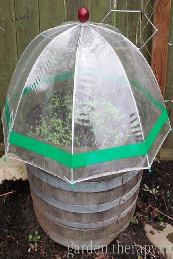 Best DIY Greenhouse Ideas for Backyard