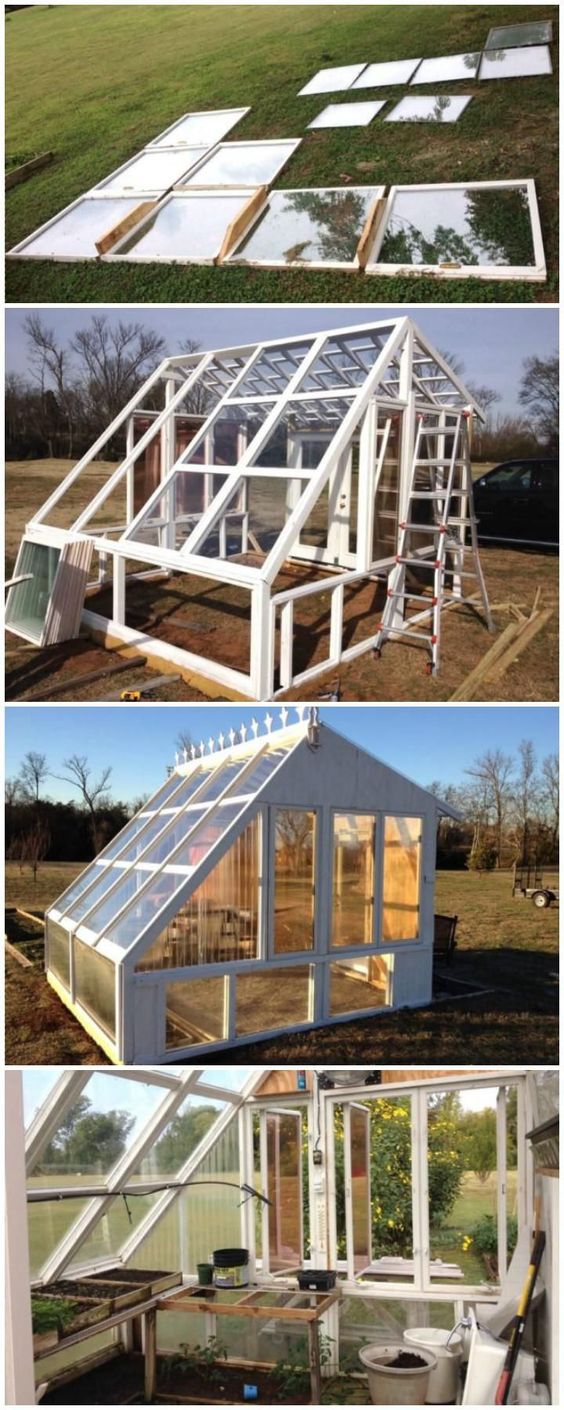 Best DIY Greenhouse Ideas for Backyard