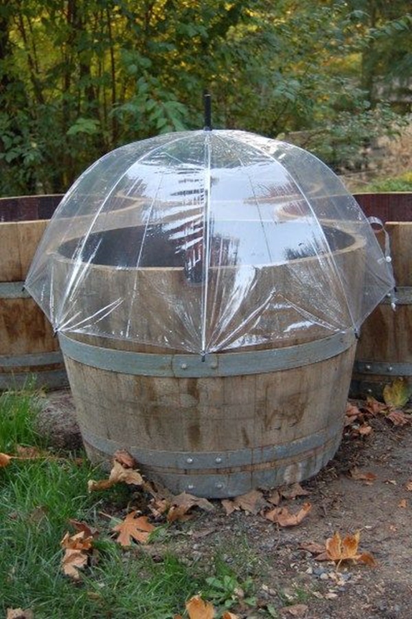 Best DIY Greenhouse Ideas for Backyard
