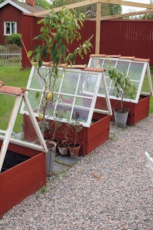 Best DIY Greenhouse Ideas for Backyard