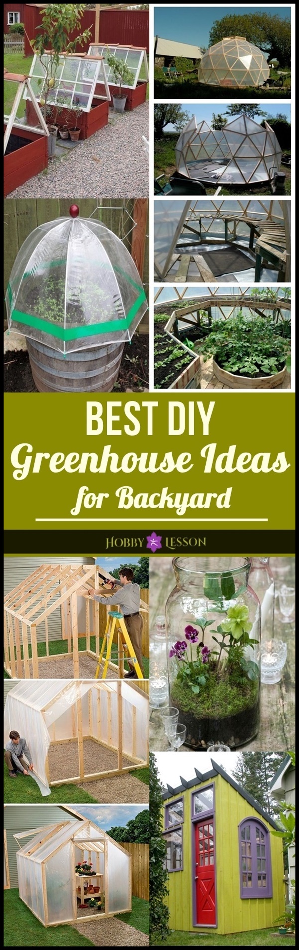 Best DIY Greenhouse Ideas for Backyard