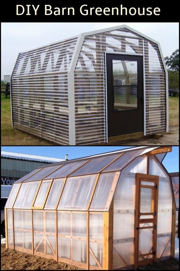 Best DIY Greenhouse Ideas for Backyard