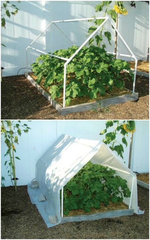 Best DIY Greenhouse Ideas for Backyard