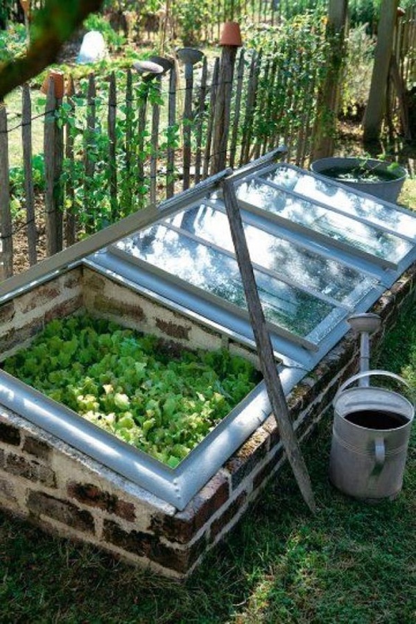 Best DIY Greenhouse Ideas for Backyard