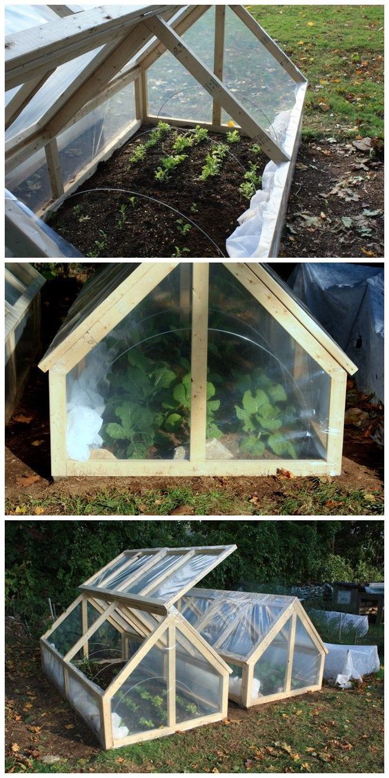 Best DIY Greenhouse Ideas for Backyard