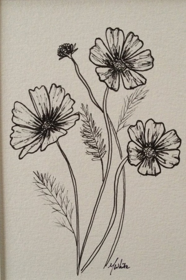 Beginner Easy Pencil Drawings Of Flowers