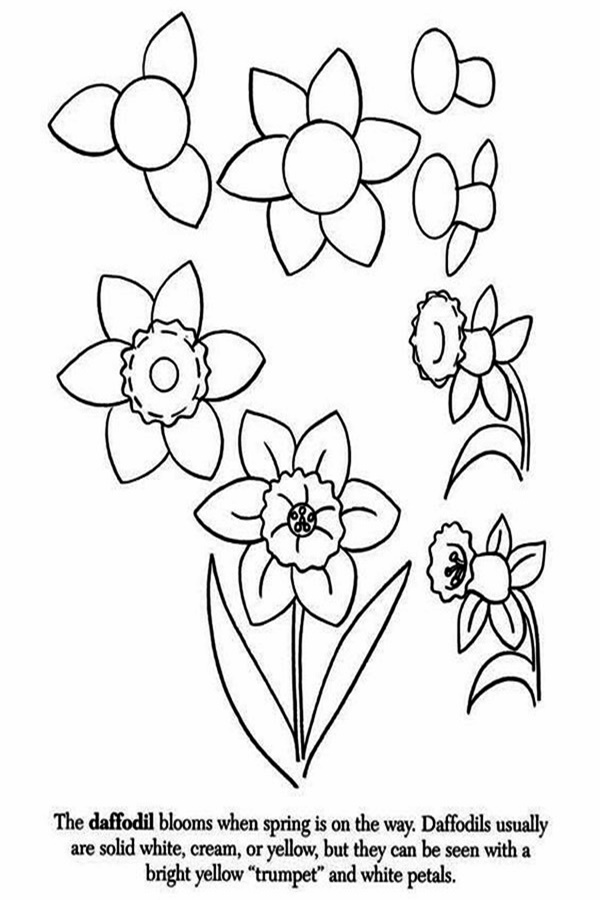 Easy Flower Pencil Drawings For Inspiration