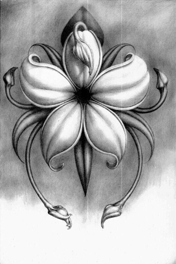 Easy Flower Pencil Drawings For Inspiration