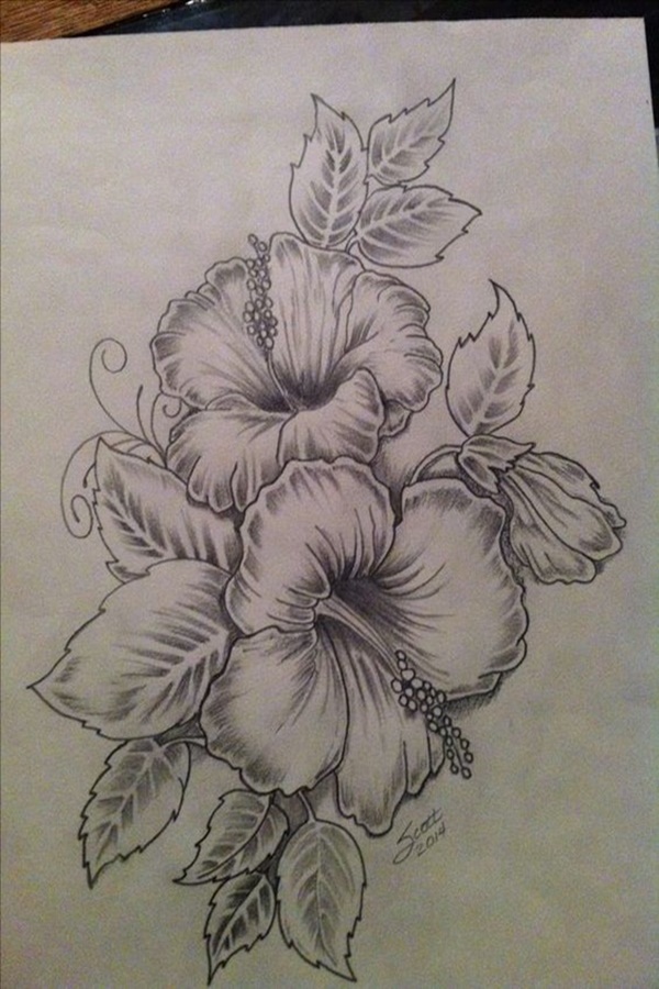 50 Easy Flower Pencil Drawings For Inspiration