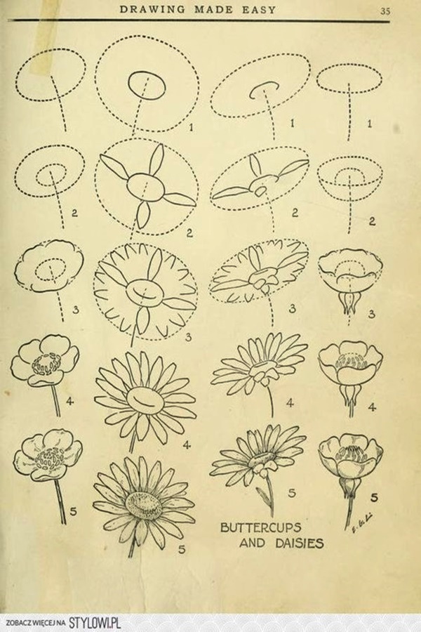 simple pencil drawn flowers