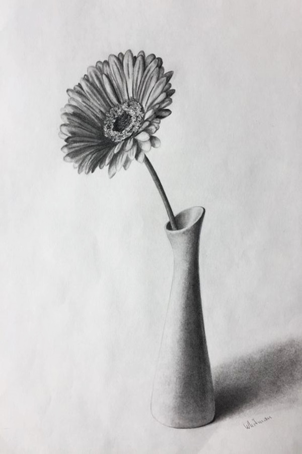 Easy Flower Pencil Drawings For Inspiration