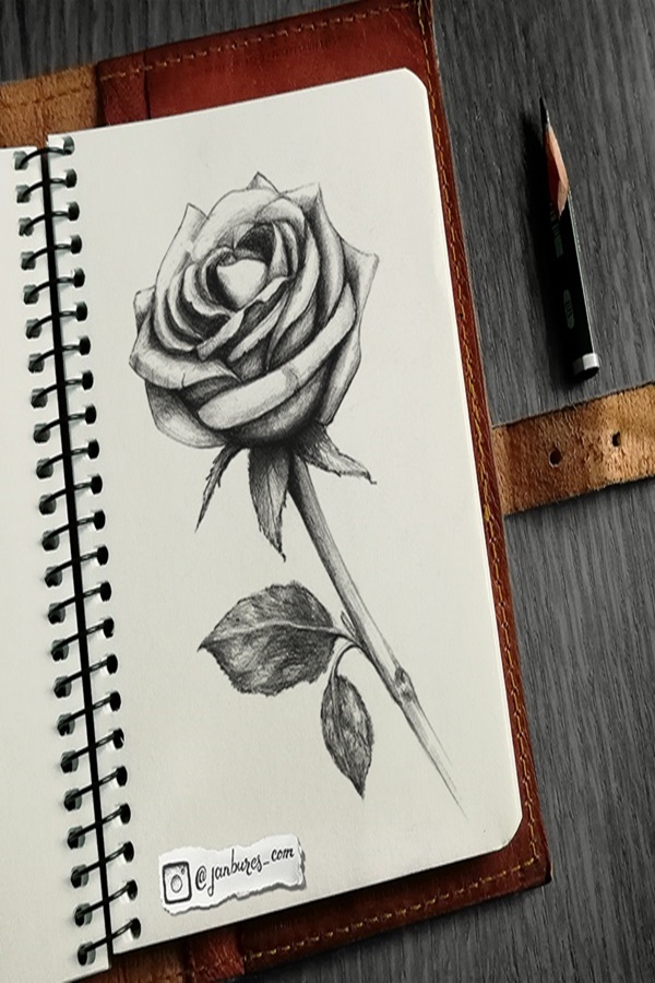 Easy Flower Pencil Drawings For Inspiration