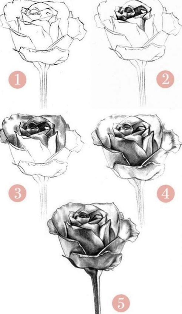 pencil rose drawing easy