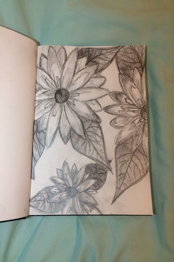 Easy Flower Pencil Drawings For Inspiration