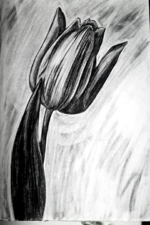 Easy Flower Pencil Drawings For Inspiration