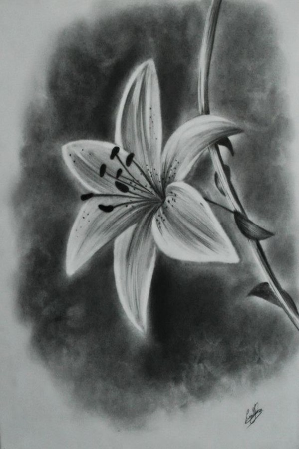 Easy Flower Pencil Drawings For Inspiration