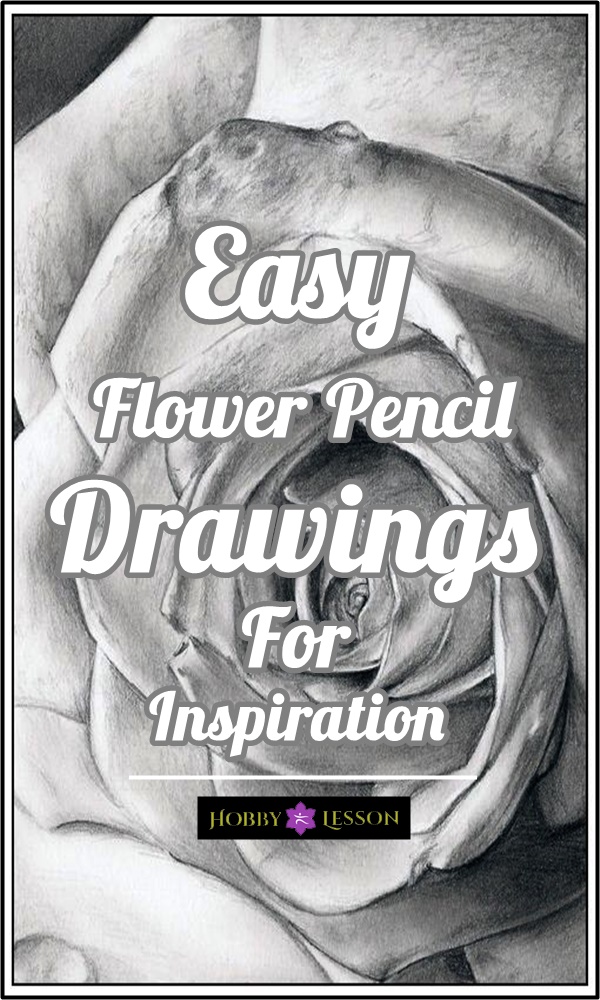 50 Easy Flower Pencil Drawings For Inspiration