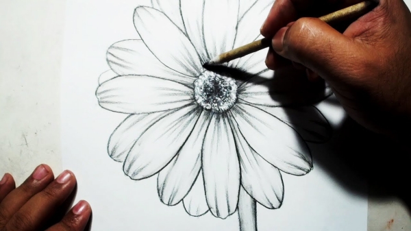 Easy Flower Pencil Drawings For Inspiration