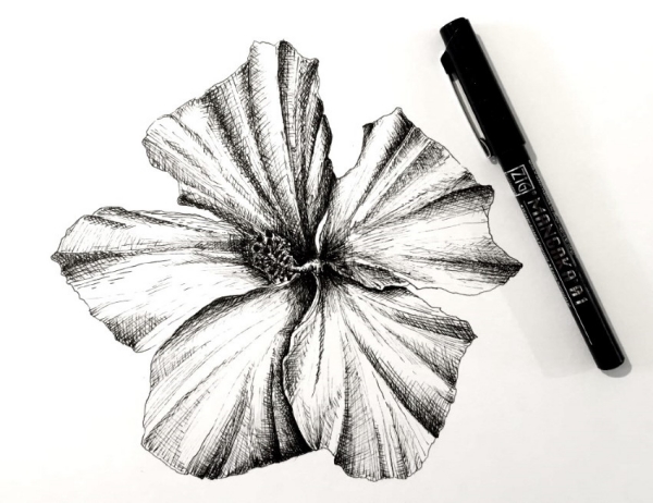 Easy Flower Pencil Drawings For Inspiration