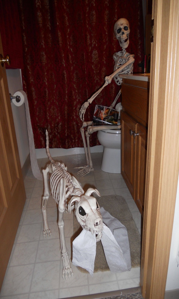 Scary Skeleton Decor Ideas to try this Halloween