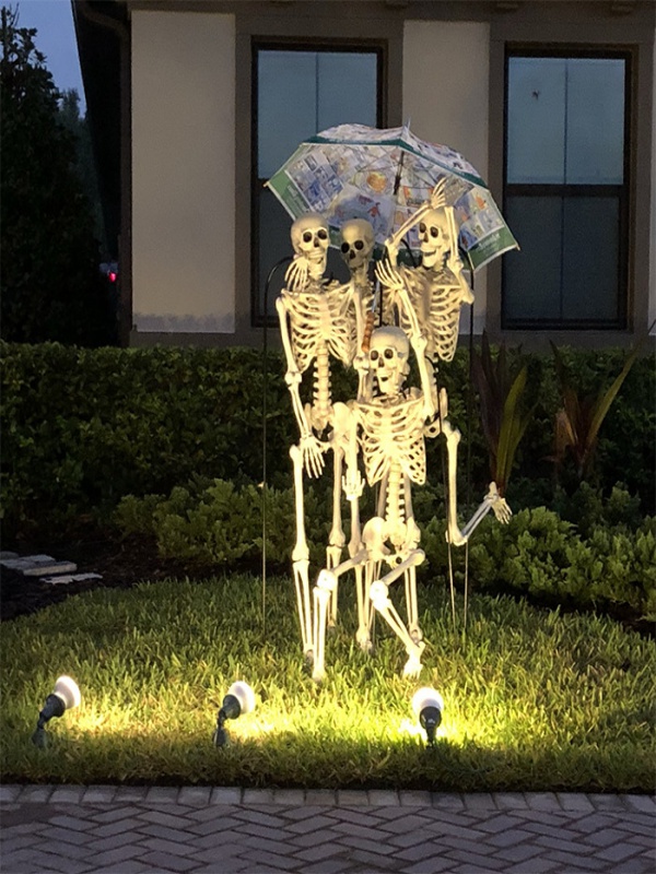 Scary Skeleton Decor Ideas to try this Halloween