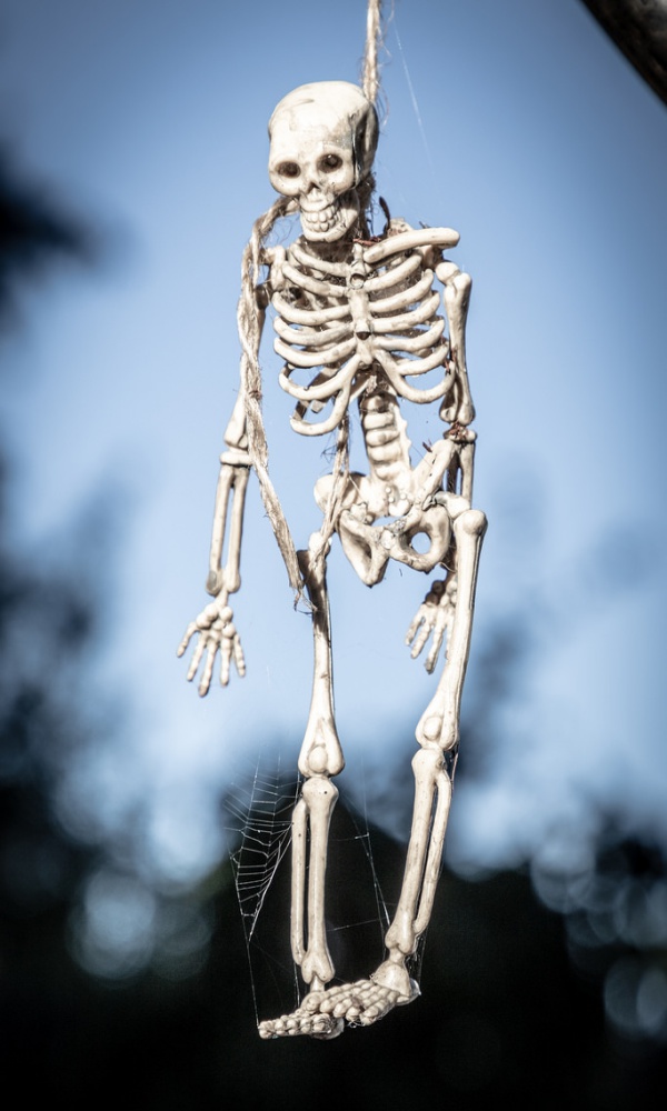 Scary Skeleton Decor Ideas to try this Halloween