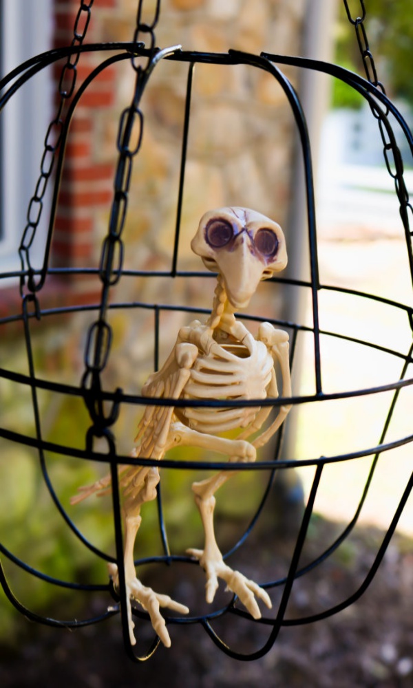 Scary Skeleton Decor Ideas to try this Halloween