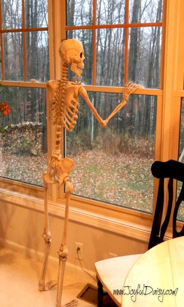 Scary Skeleton Decor Ideas to try this Halloween