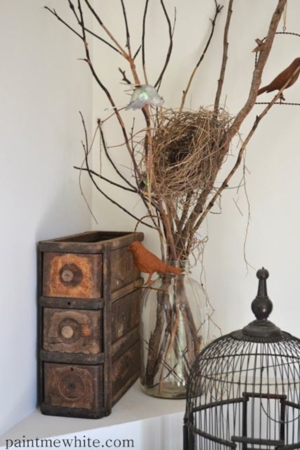 DIY Indoor Decoration Ideas For Bird Lover