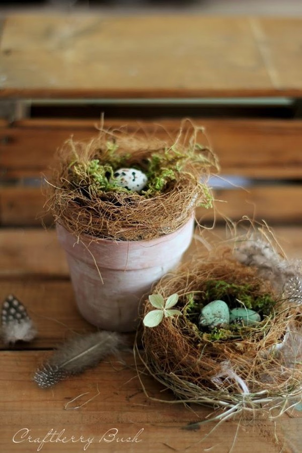 DIY Indoor Decoration Ideas For Bird Lover