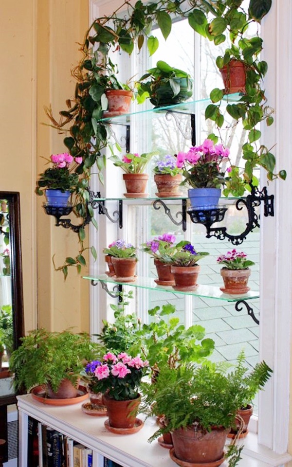 Fresh Window Decoration Ideas