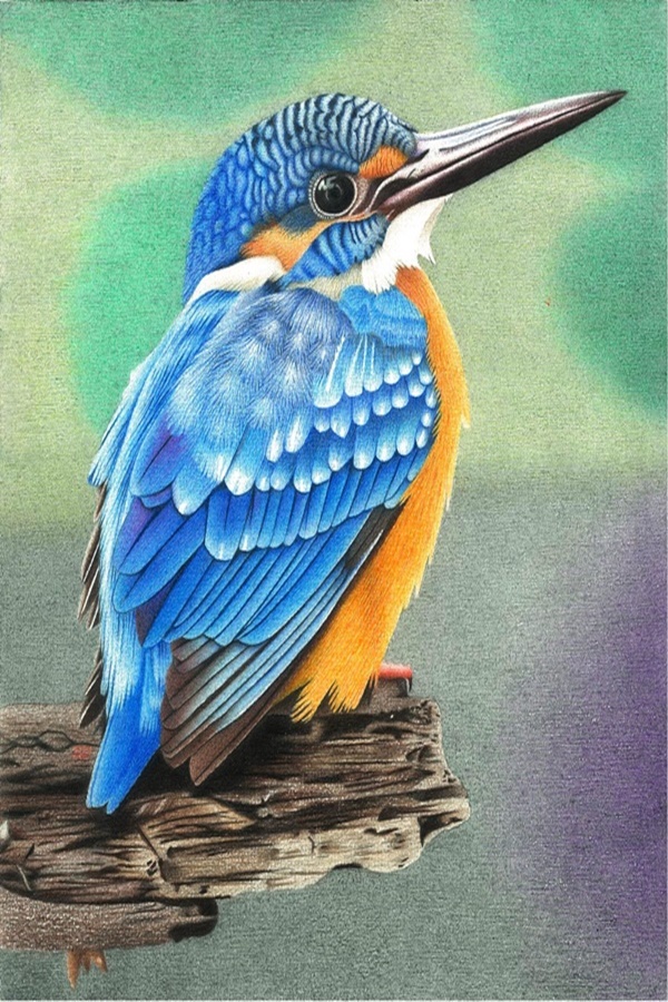 Speaking Colored Pencil Drawings