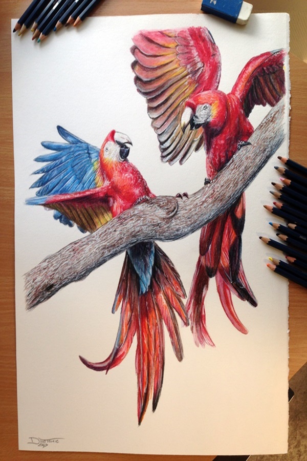 Speaking Colored Pencil Drawings