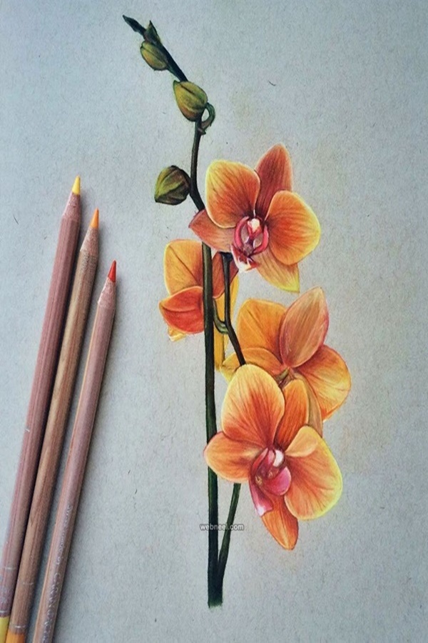 Speaking Colored Pencil Drawings