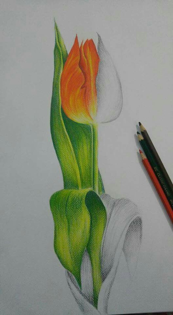 Speaking Colored Pencil Drawings